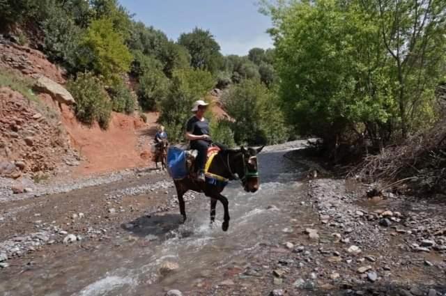 Riad Idar Ouirgane Exteriér fotografie